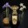 NOJOUM VEGA EDP 100ML