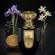 NOJOUM VEGA EDP 100ML