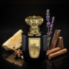 NOJOUM RIGEL EDP 100ML
