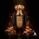 NOJOUM ANTARES EDP 100ML