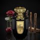 NOJOUM CYRA EDP 100ML