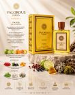 Fariis Valorous Heroes Radiance EDP 100ml